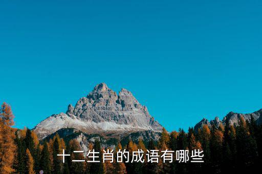 十二生肖的成語有哪些