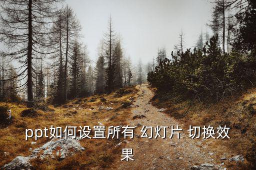 ppt如何設置所有 幻燈片 切換效果