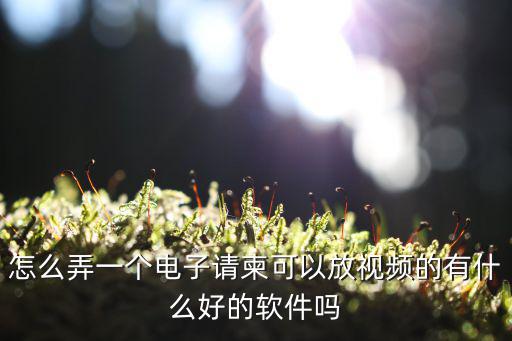 怎么弄一個電子請柬可以放視頻的有什么好的軟件嗎
