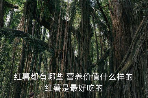  紅薯都有哪些 營養價值什么樣的 紅薯是最好吃的