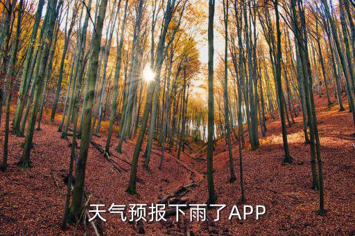 天氣預報下雨了APP