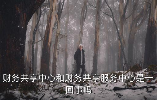 財(cái)務(wù)共享中心和財(cái)務(wù)共享服務(wù)中心是一回事嗎