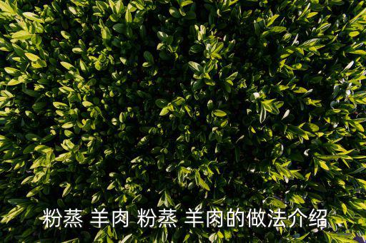  粉蒸 羊肉 粉蒸 羊肉的做法介紹