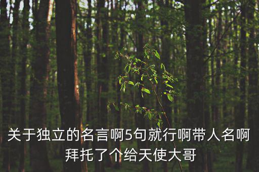 關于獨立的名言啊5句就行啊帶人名啊 拜托了個給天使大哥