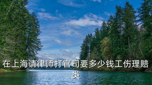 在上海請律師打官司要多少錢工傷理賠類
