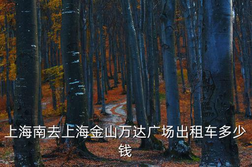 上海南去上海金山萬達廣場出租車多少錢