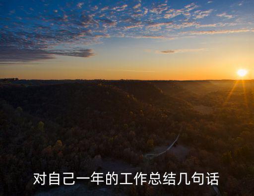 對(duì)自己一年的工作總結(jié)幾句話