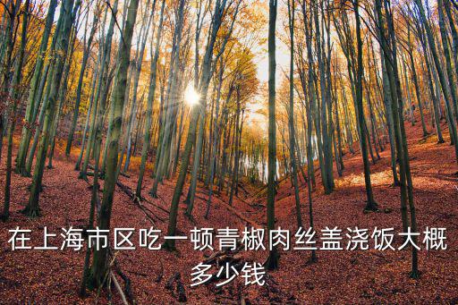 在上海市區(qū)吃一頓青椒肉絲蓋澆飯大概多少錢