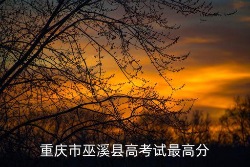 重慶市巫溪縣高考試最高分