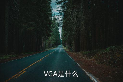 vga是什么,我覺得這是一個電腦的藍屏!
