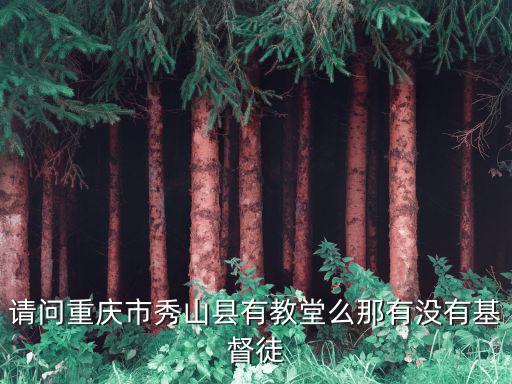 請(qǐng)問重慶市秀山縣有教堂么那有沒有基督徒