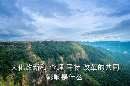 查理馬特改革,馬特上臺后貴族造反不斷查理馬特改革