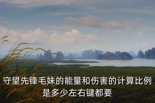 守望先鋒毛妹，守望先鋒毛妹的能量和傷害的計(jì)算比例是多少左右鍵都要
