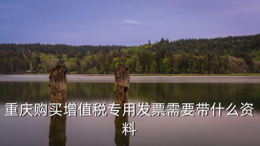 重慶購買增值稅專用發票需要帶什么資料