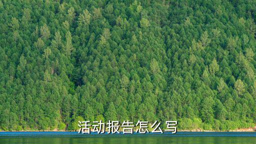 活動報告怎么寫