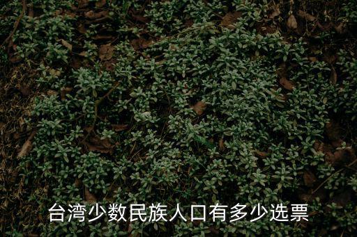 臺灣少數民族人口有多少選票