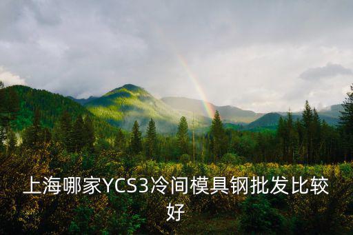 上海哪家YCS3冷間模具鋼批發(fā)比較好
