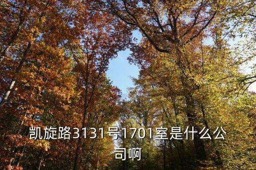 凱旋路3131號1701室是什么公司啊