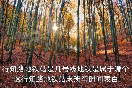 上海市行知路是哪里，上海行知路在什么區