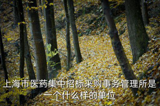 上海市黃浦區招標辦，上海市醫藥集中招標采購事務管理所是一個什么樣的單位