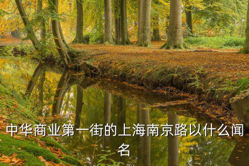 中華商業第一街的上海南京路以什么聞名