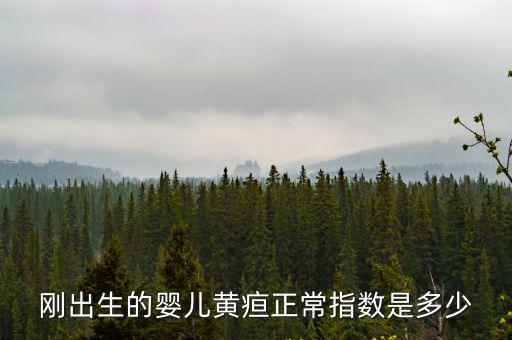 新生兒黃疸指數(shù)，寶寶的黃疸指數(shù)