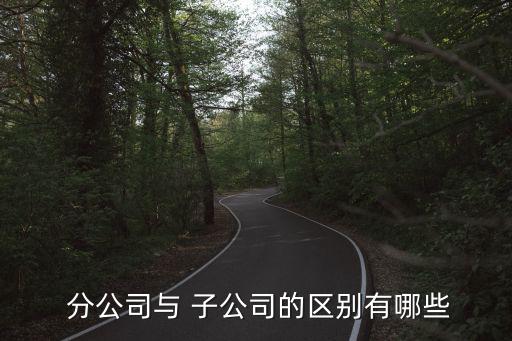  分公司與 子公司的區別有哪些