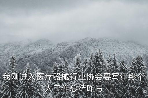 我剛進入醫療器械行業協會要寫年終個人工作總結咋寫