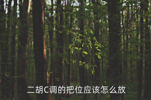  二胡C調的把位應該怎么放