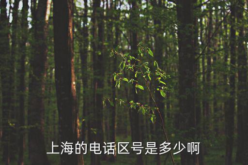 上海市住宅電話區號，上海的電話區號是多少啊