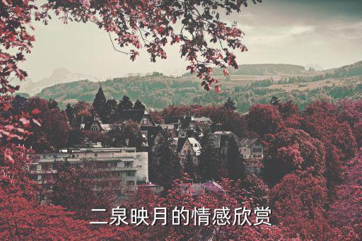 二泉映月賞析，二泉映月的賞析