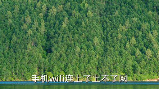 手機wifi連上了上不了網