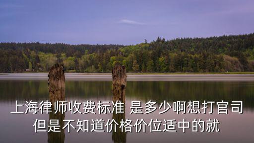 上海律師收費標準 是多少啊想打官司但是不知道價格價位適中的就