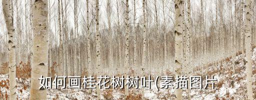寫生圖片,這幅畫是寫生還是畫意盎然?