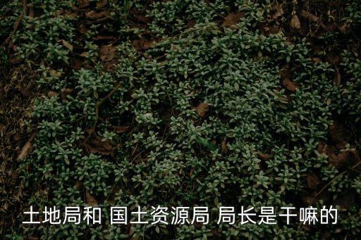 國(guó)土局長(zhǎng),雷州市國(guó)土資源局今年由黃文舉主持局長(zhǎng)全面工作
