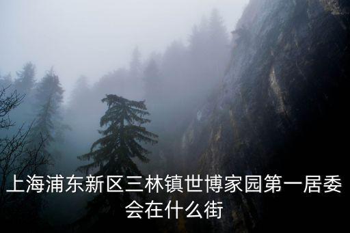 上海浦東新區三林鎮世博家園第一居委會在什么街