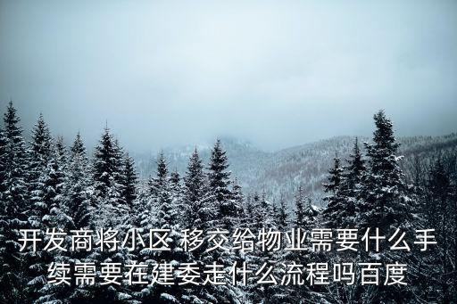 上海市住宅項目移交物業，上海永龍房地產有限公司董事長是誰