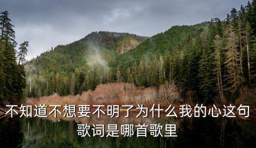 不知道不明了不想要為什么我的心，不知道不明了不想要為什么我的心是什么歌