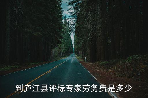到廬江縣評標專家勞務費是多少