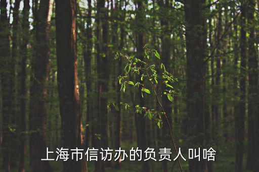 上海市信訪辦的負責(zé)人叫啥