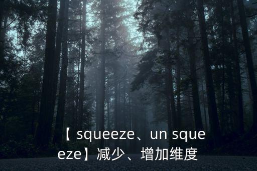 【 squeeze、un squeeze】減少、增加維度