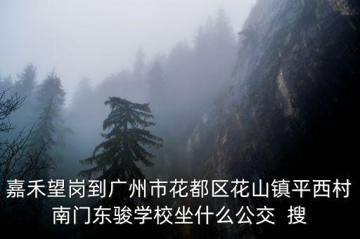 嘉禾望崗到廣州市花都區花山鎮平西村南門東駿學校坐什么公交  搜