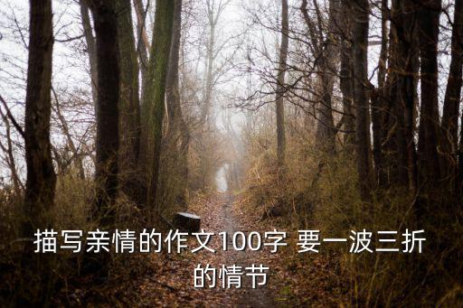 描寫親情的作文100字 要一波三折的情節