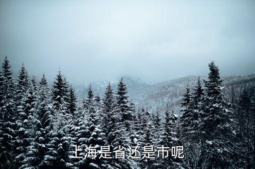 上海是省還是市呢