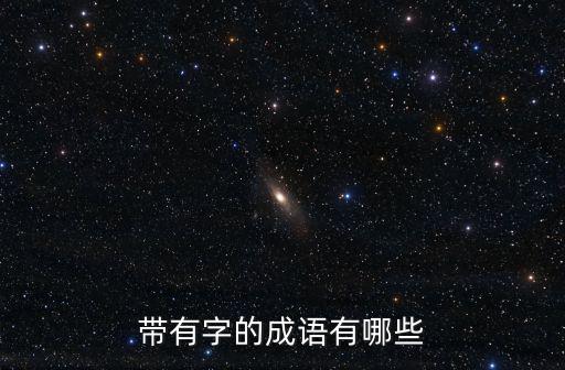 帶有字的成語有哪些