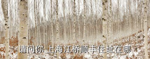 請問你 上海江橋順豐住址在哪