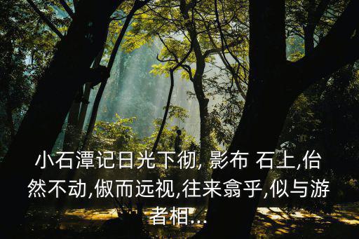 影布石上,晨光|紙上風(fēng)云:你來了又走寫在墻角的魚
