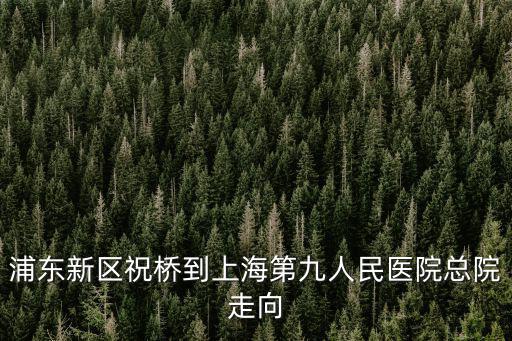 上海市第九人民醫(yī)院祝橋，上海九院外灘分院什么時(shí)間開(kāi)業(yè)