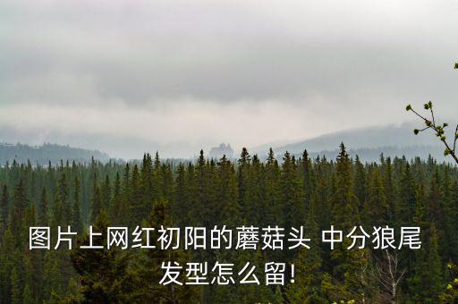 中分發型圖片,時尚潮流趨勢回顧（一）