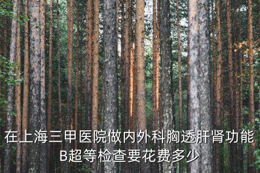 在上海三甲醫院做內外科胸透肝腎功能B超等檢查要花費多少